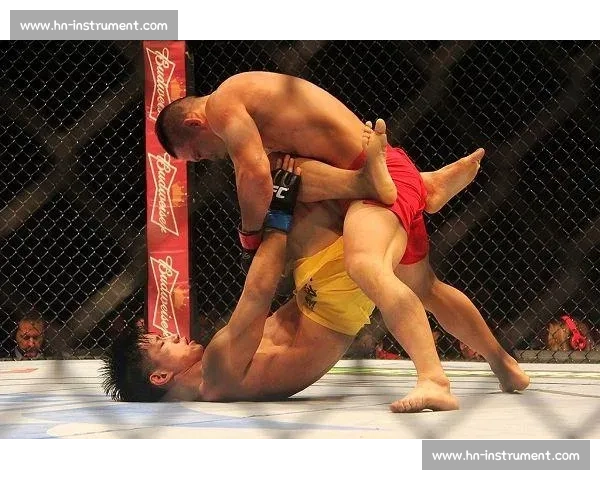 杨建平对决宁广友揭示中美格斗差距与舆论风暴真相背后行业反思